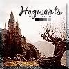 Hogwarts Castle